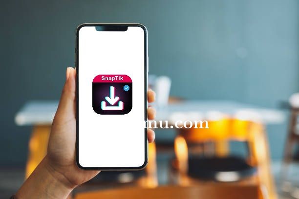 Mau Download Video TikTok? Pakai Snaptik, Praktis dan Gratis!